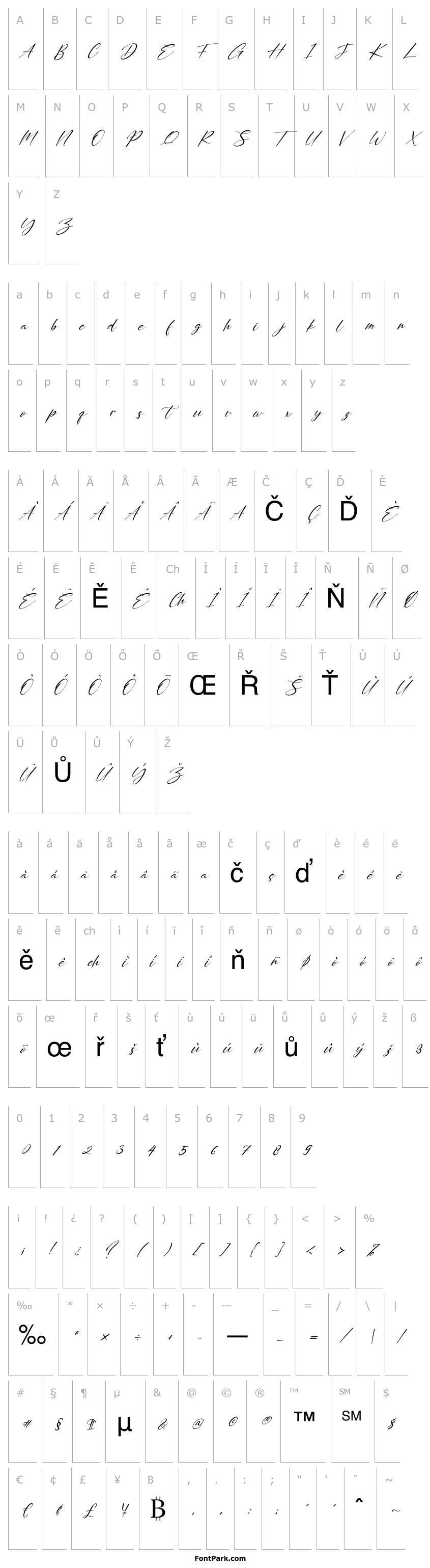 Overview Nattalya Italic