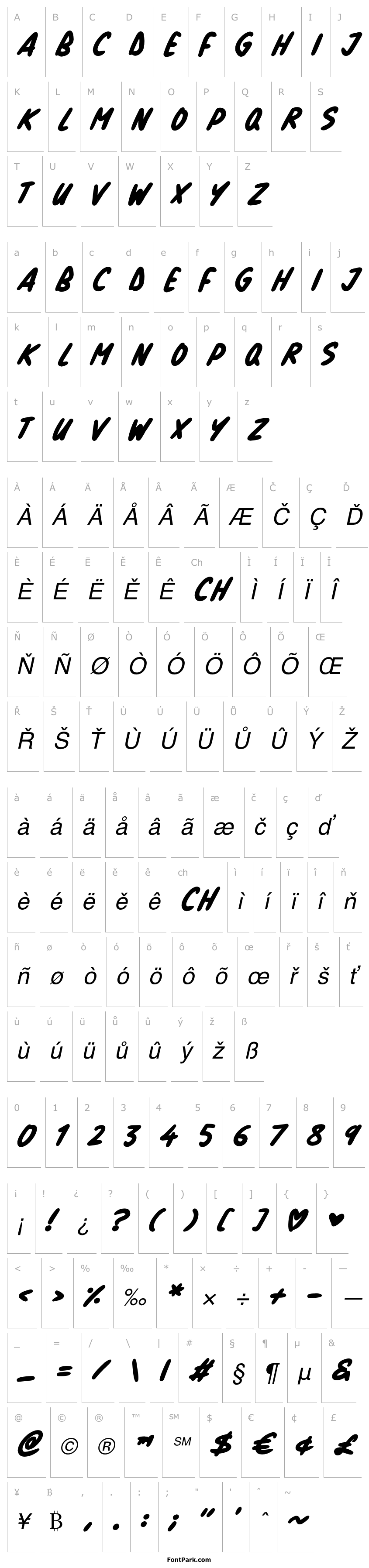 Overview Natural Marker Italic