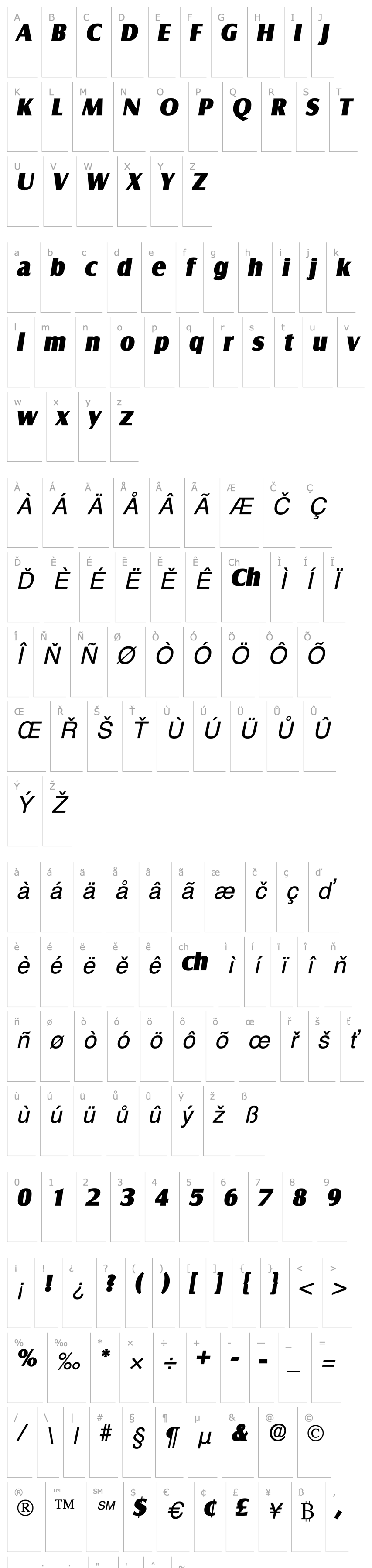 Overview Nauto Display SSi Italic