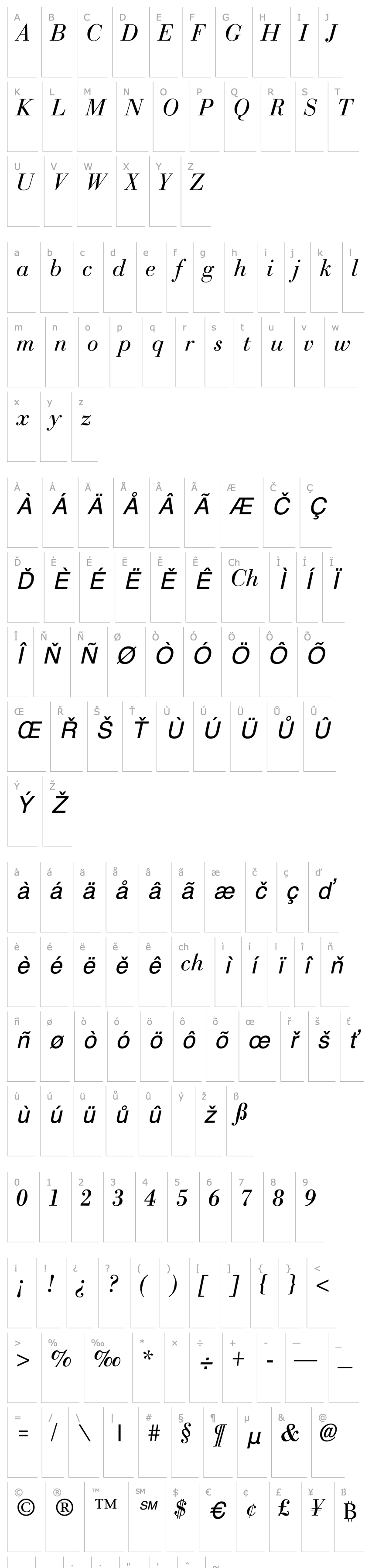 Overview Nec Italic Lite 