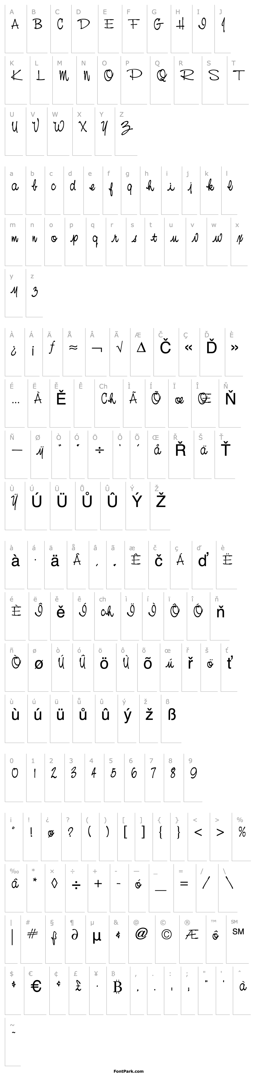 Overview NevisonCasualScript