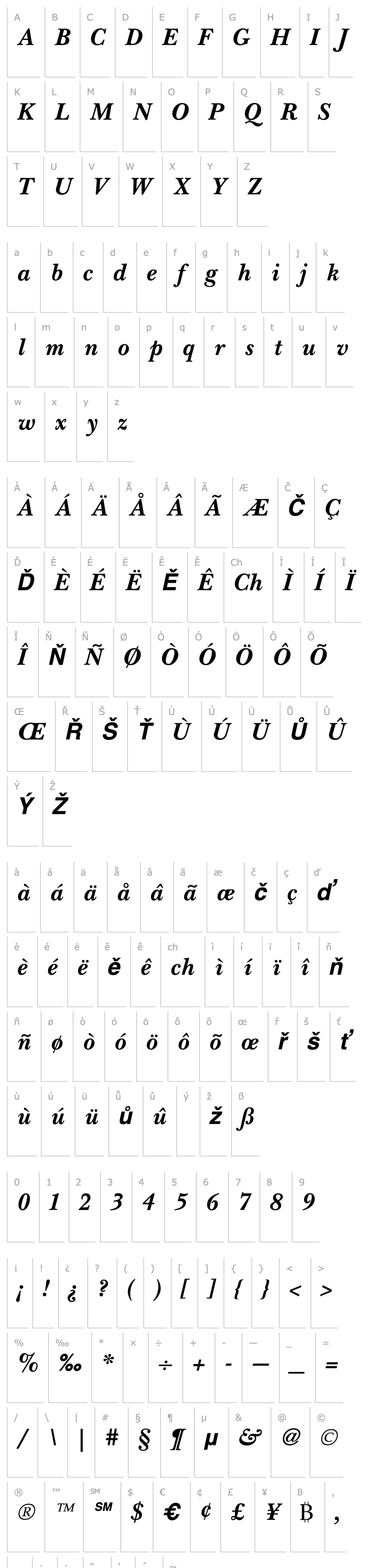 Overview New Bold Italic