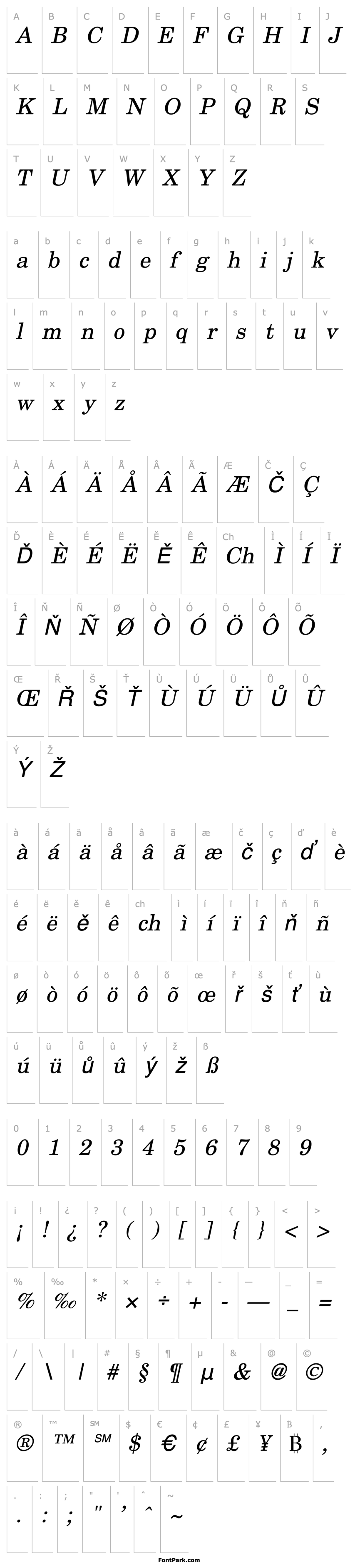 Overview New Boston Italic