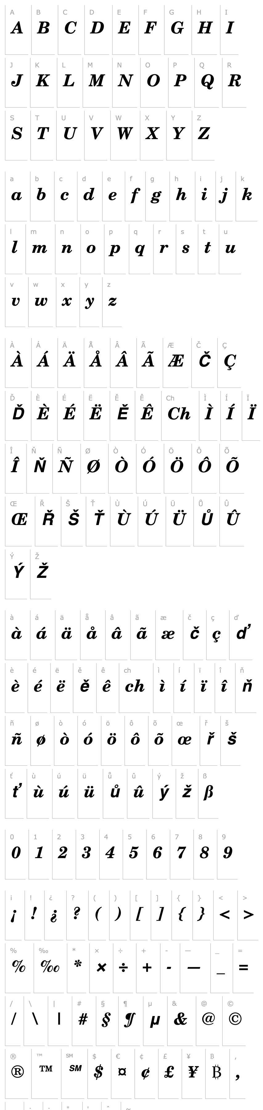 Overview New Century Schoolbook Bold Italic