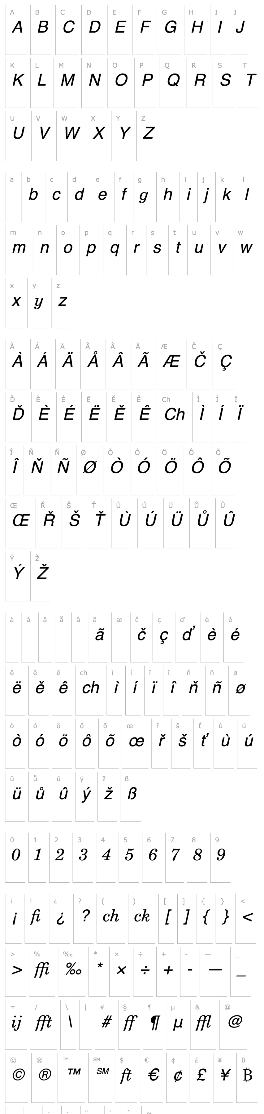 Přehled New Century Schoolbook Profi Italic