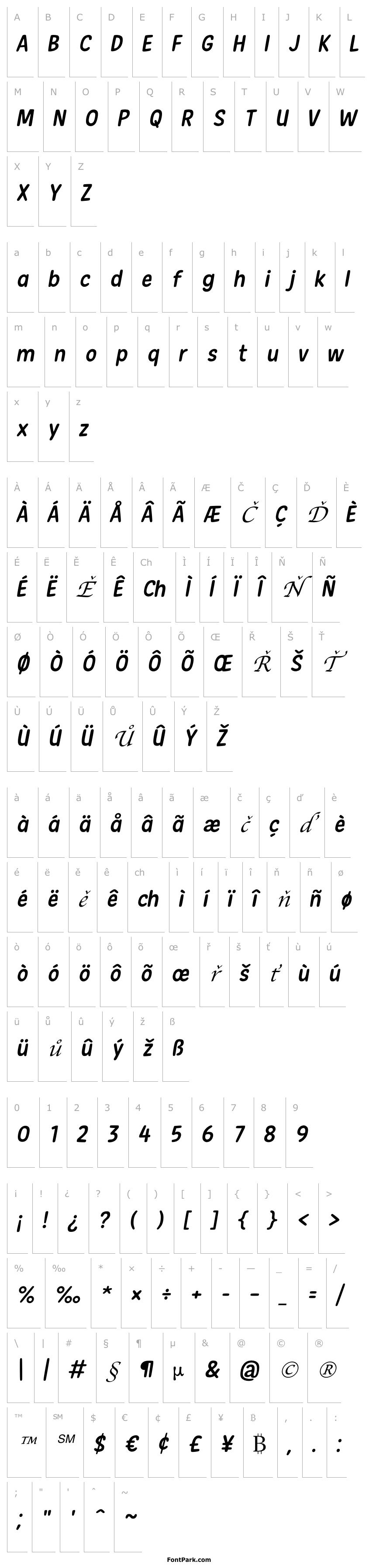 Přehled New Era Casual Italic