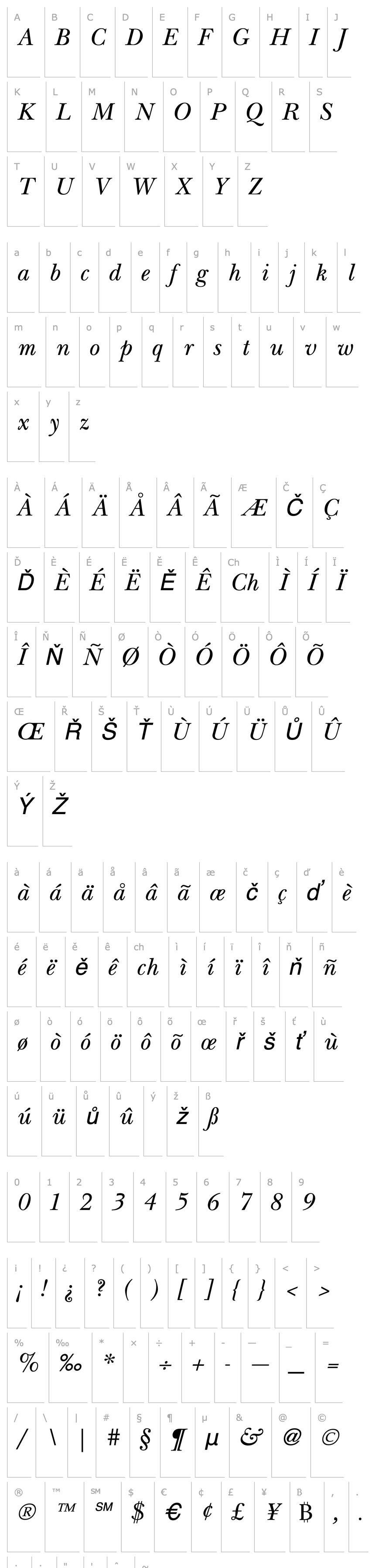 Overview New Italic