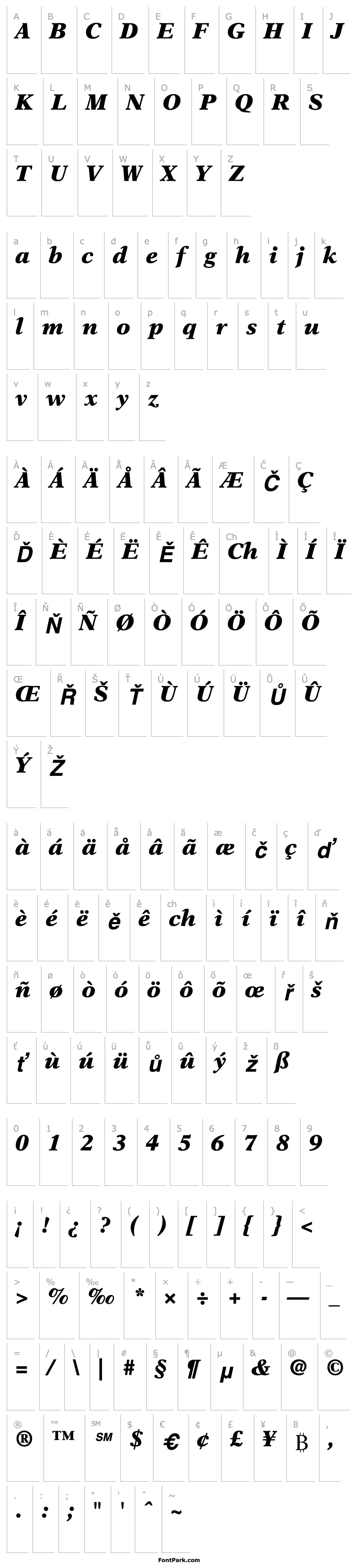 Přehled NewAster-Black Italic