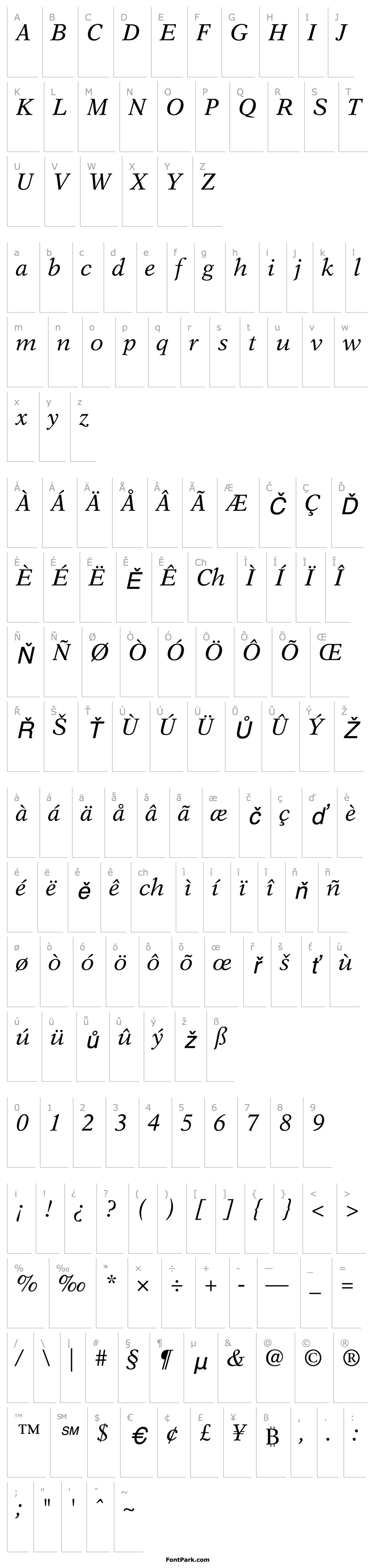 Přehled NewAster-Italic