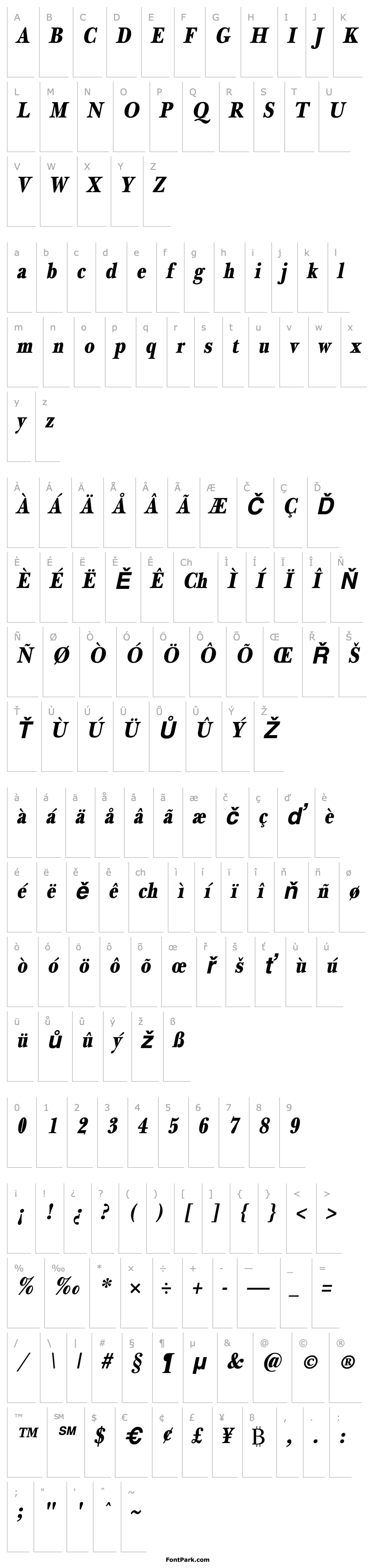 Overview NewBaskerThin Bold-Oblique