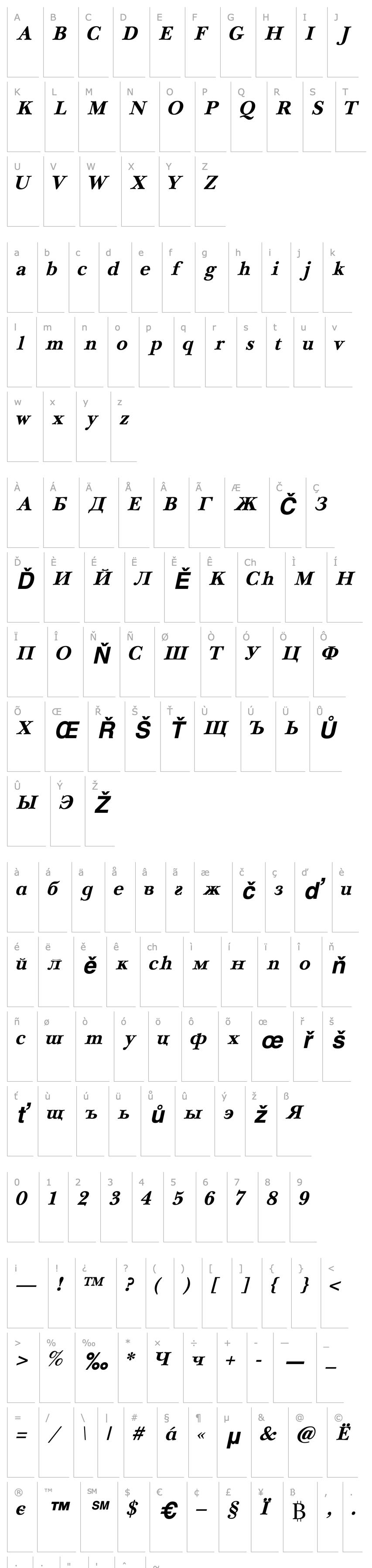 Overview NewBaskerville Cyrillic Bold Italic