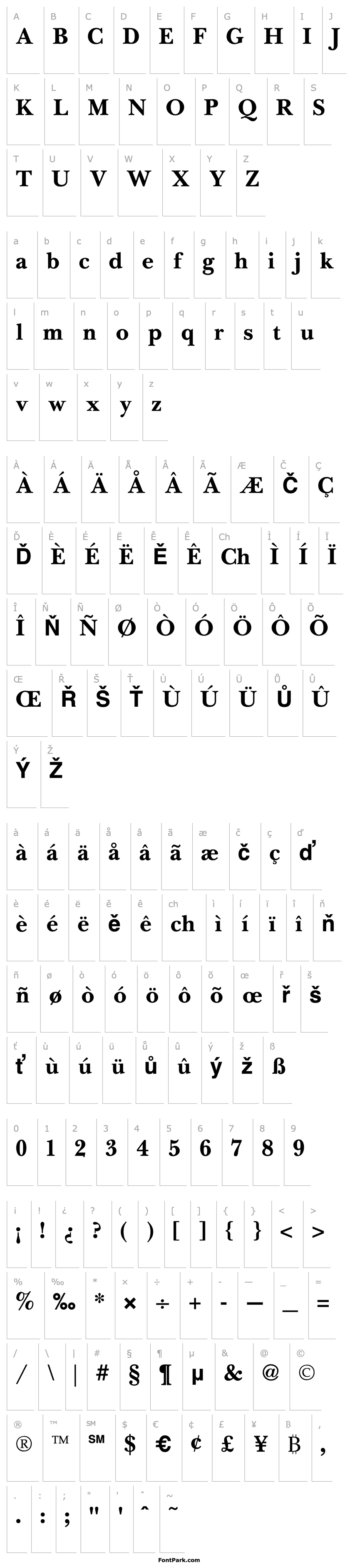 Přehled NewBaskervilleBold