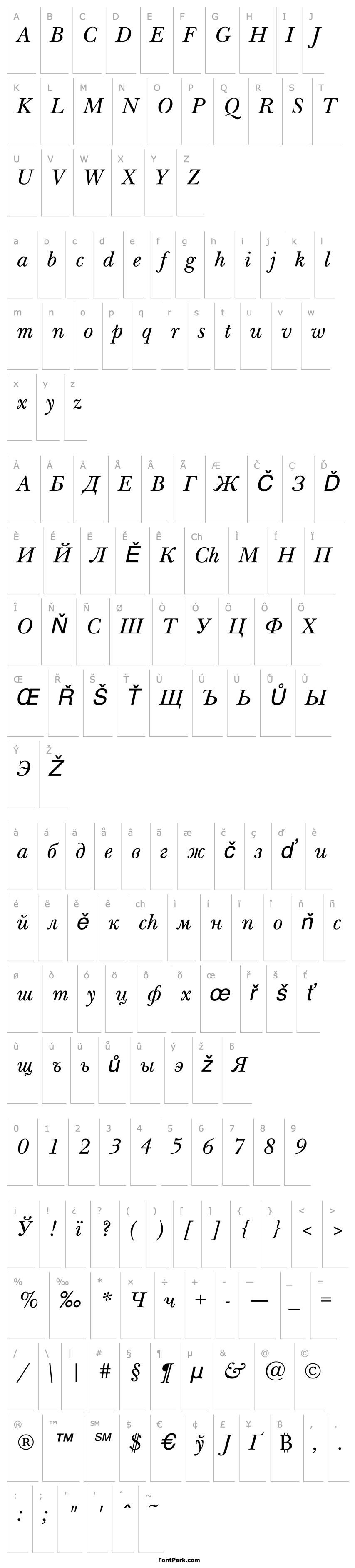 Přehled NewBaskervilleC-Italic