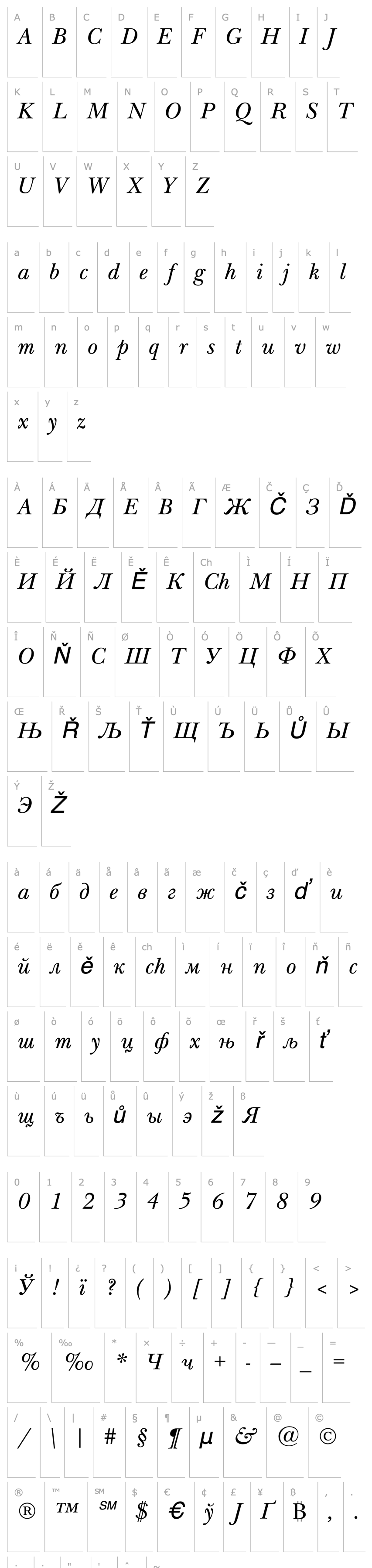 Přehled NewBaskervilleCTT Italic