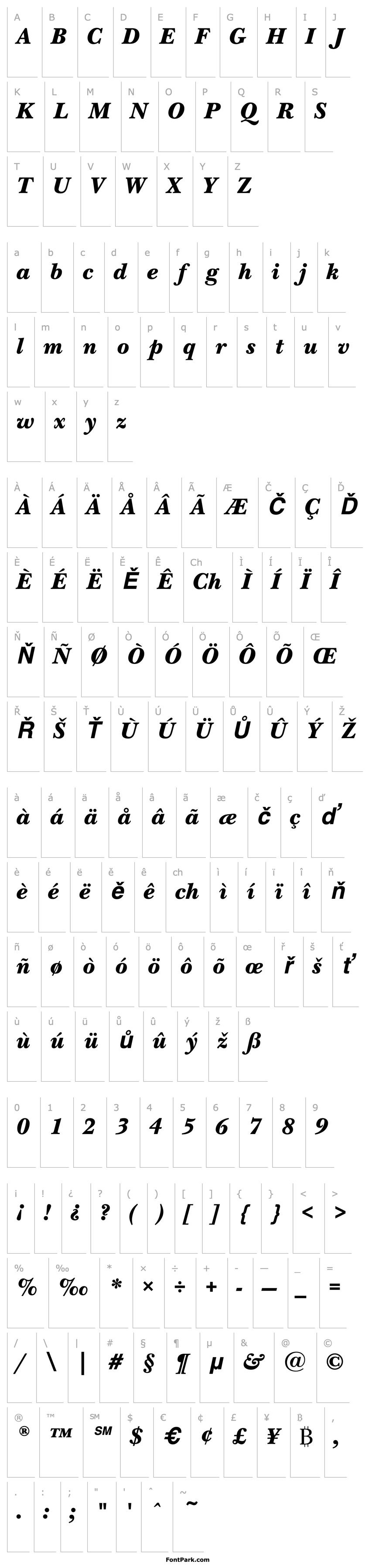 Overview NewBaskervilleEF-BlackItalic