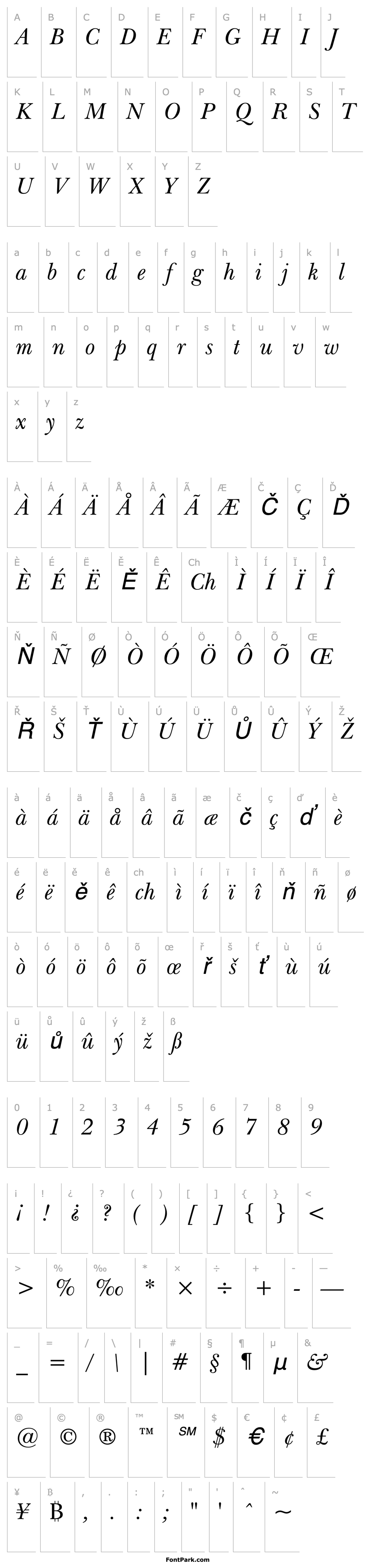 Přehled NewBaskervilleITCbyBT-Italic