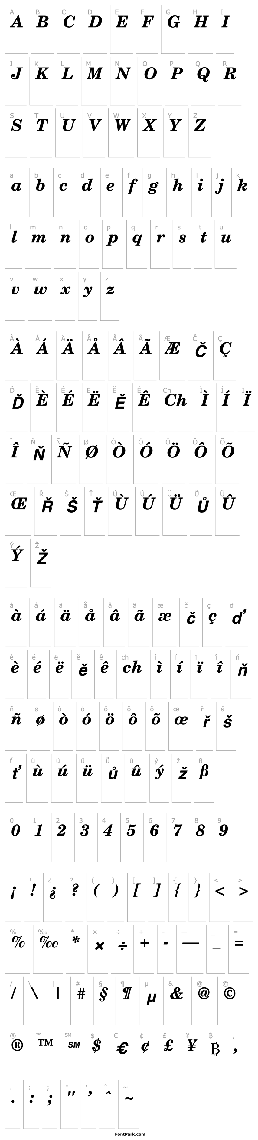 Overview NewBrunswick Bold Italic