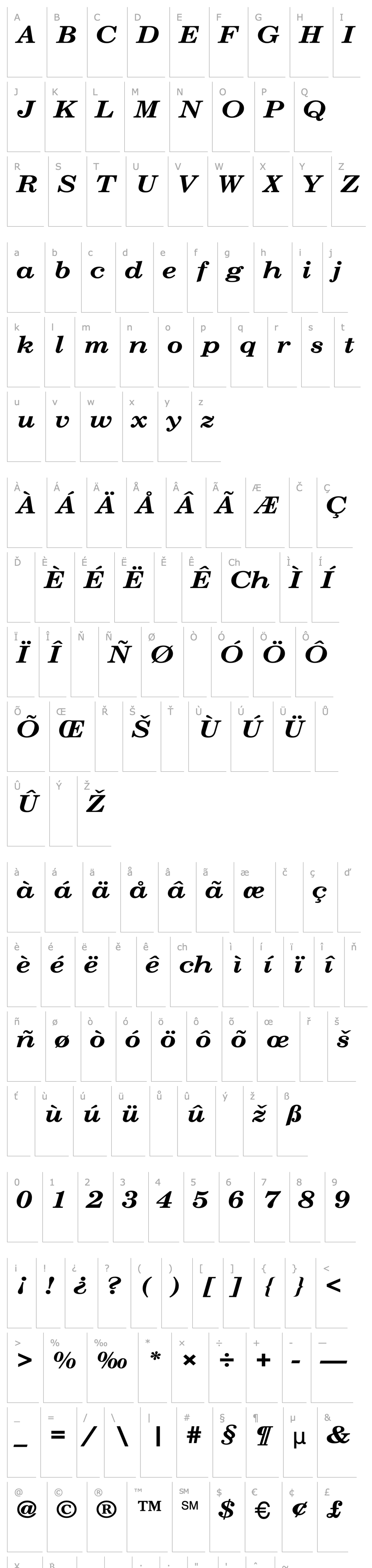 Přehled NewCenturySchlbkExt-Bold-Italic