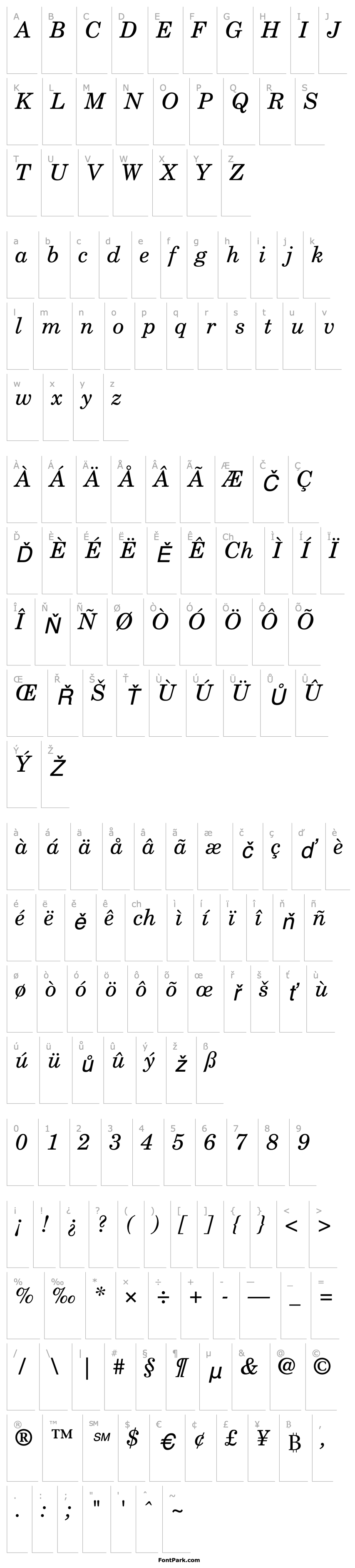 Přehled NewCenturySchoolbook-Book Italic