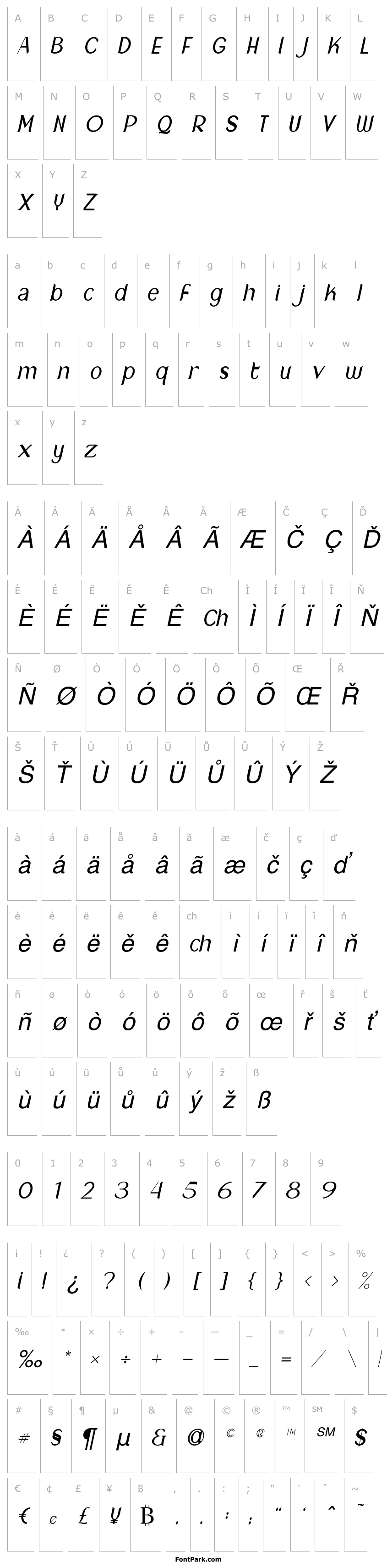 Přehled NewCrown-LightItalic_DEMO