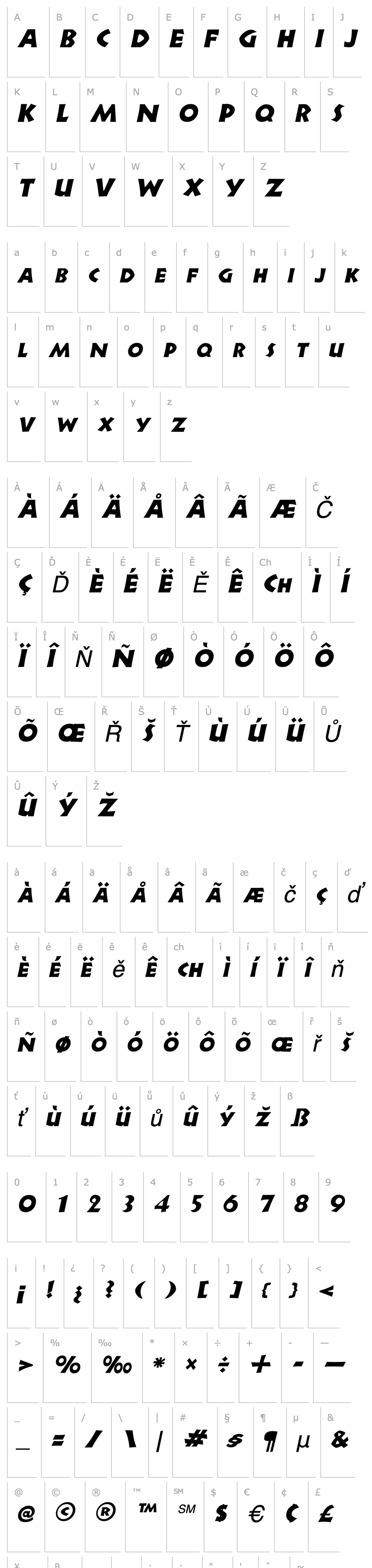 Přehled Newell Italic