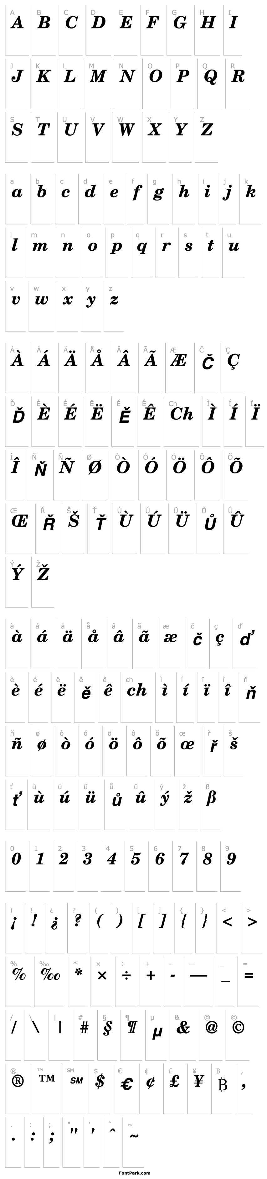 Overview NewMilleniumSchlbkSH Bold Italic