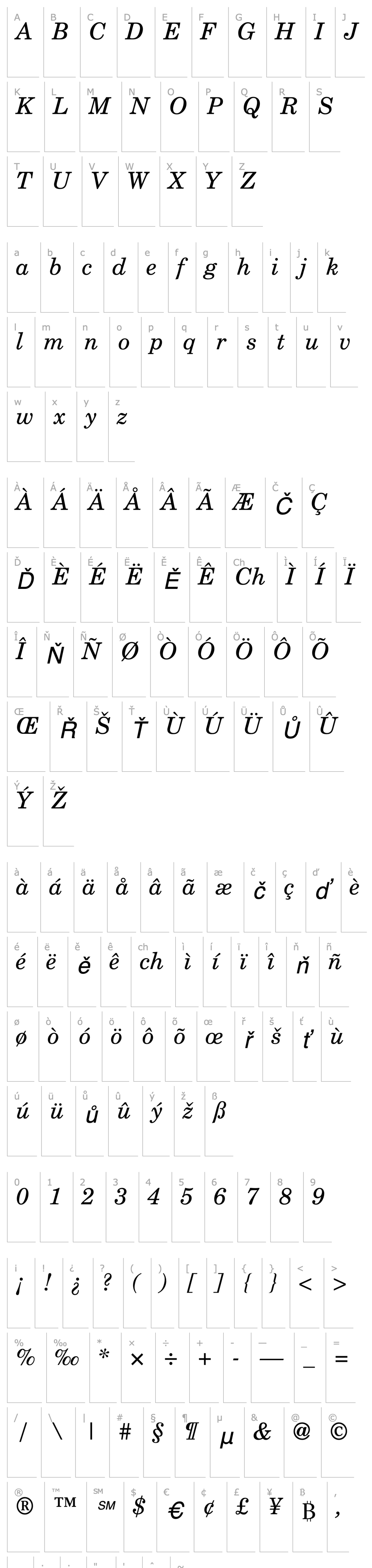 Overview NewMilleniumSchlbkSH Italic