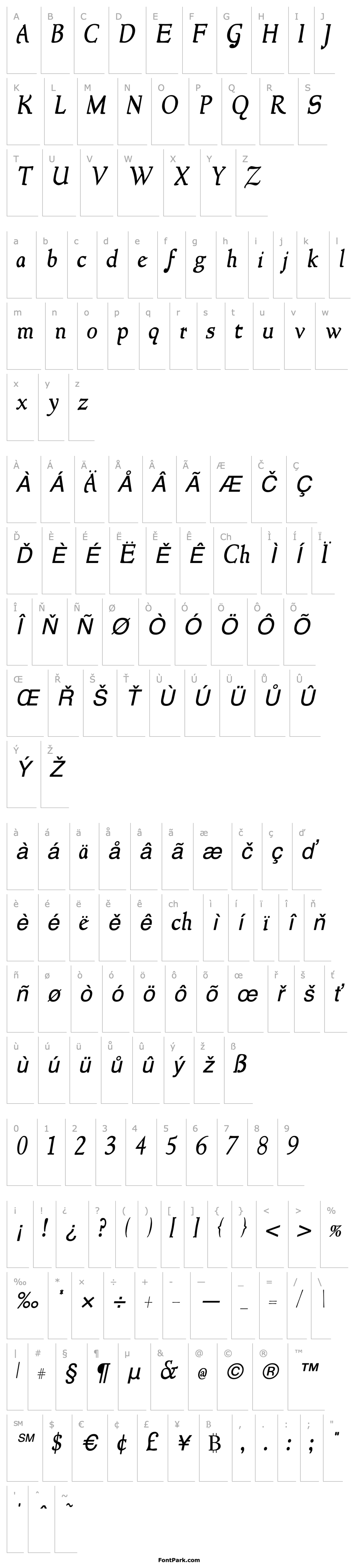 Overview NewStyle Italic