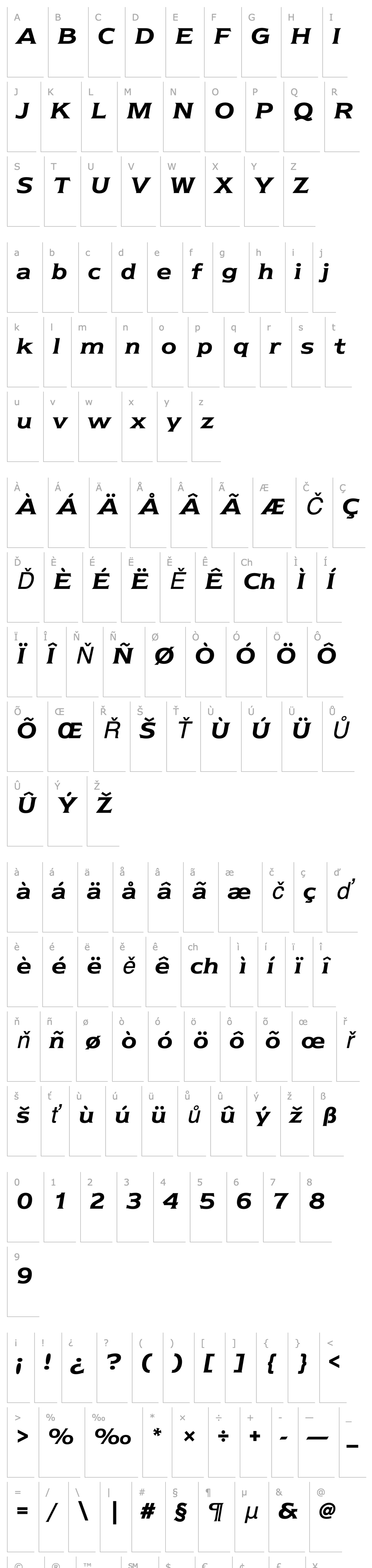 Přehled NewtextEF-DemiItalic