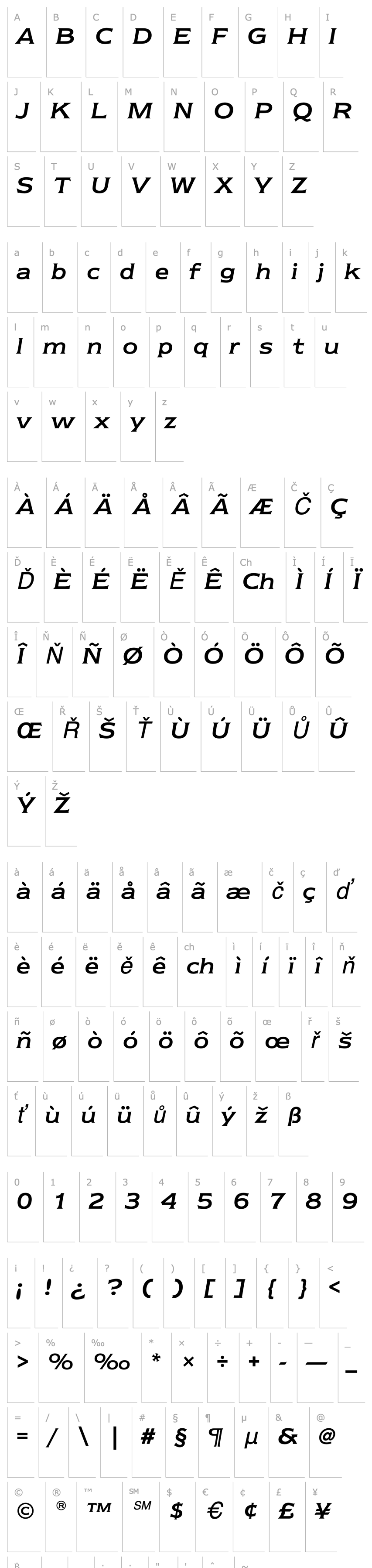 Přehled NewtextEF-RegularItalic