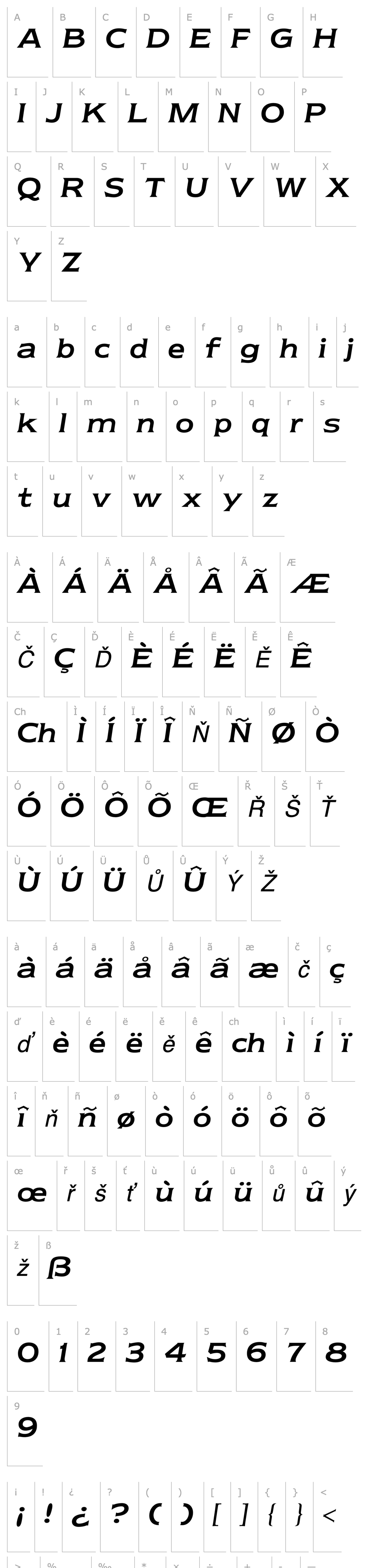 Přehled NewtextRegularItalic