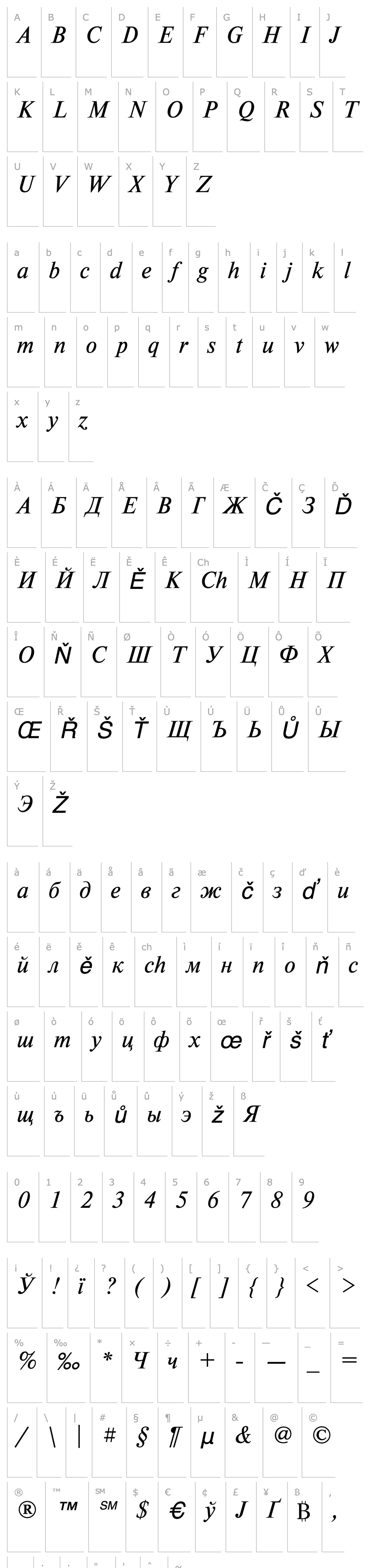 Přehled NewtonC-Italic