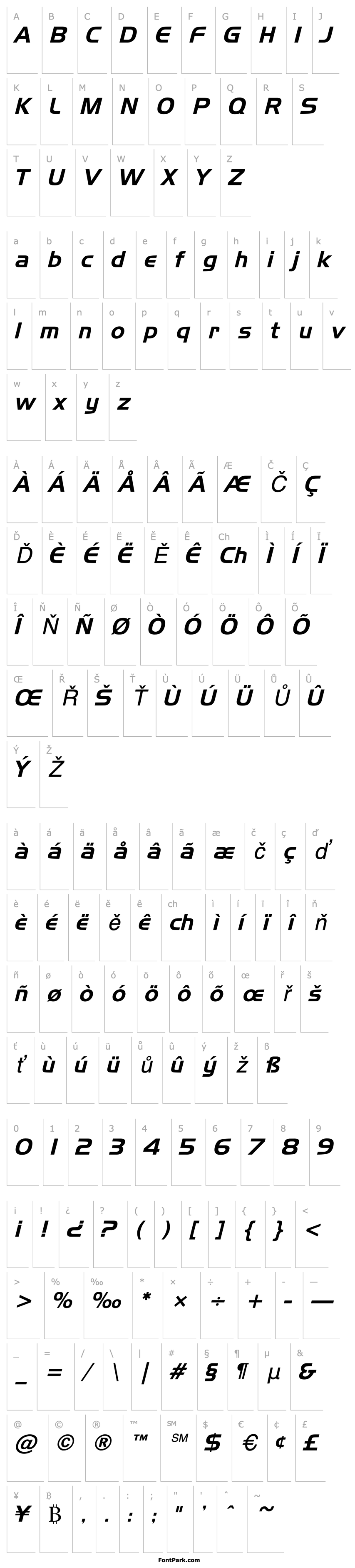 Overview Newtown Italic