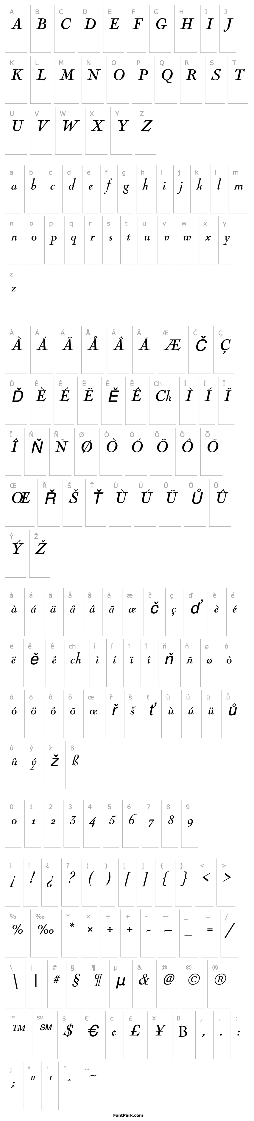 Přehled NicolasCochin Italic