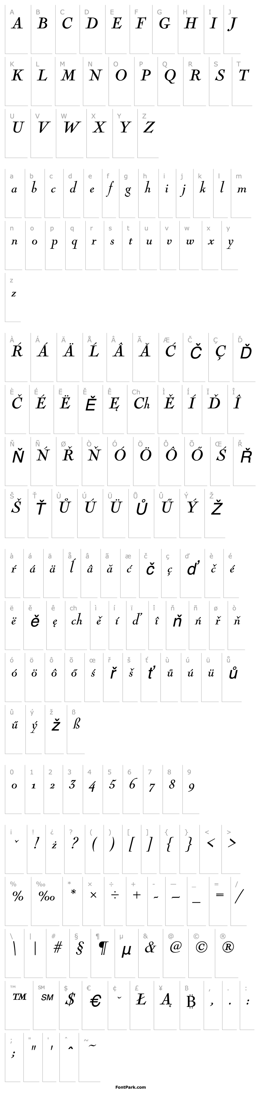 Přehled NicolasCocTEEReg Italic