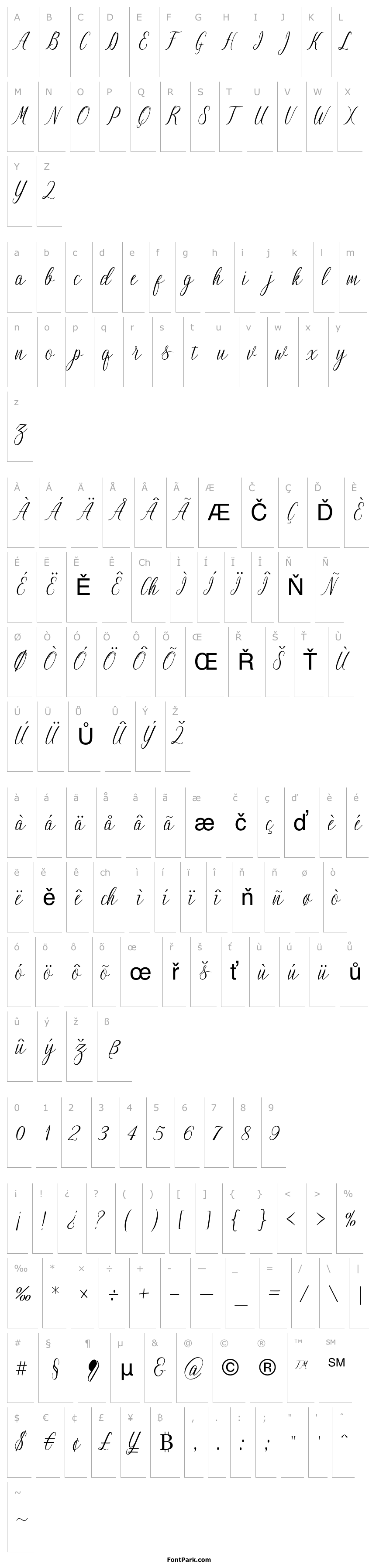 Přehled NightingaleScript