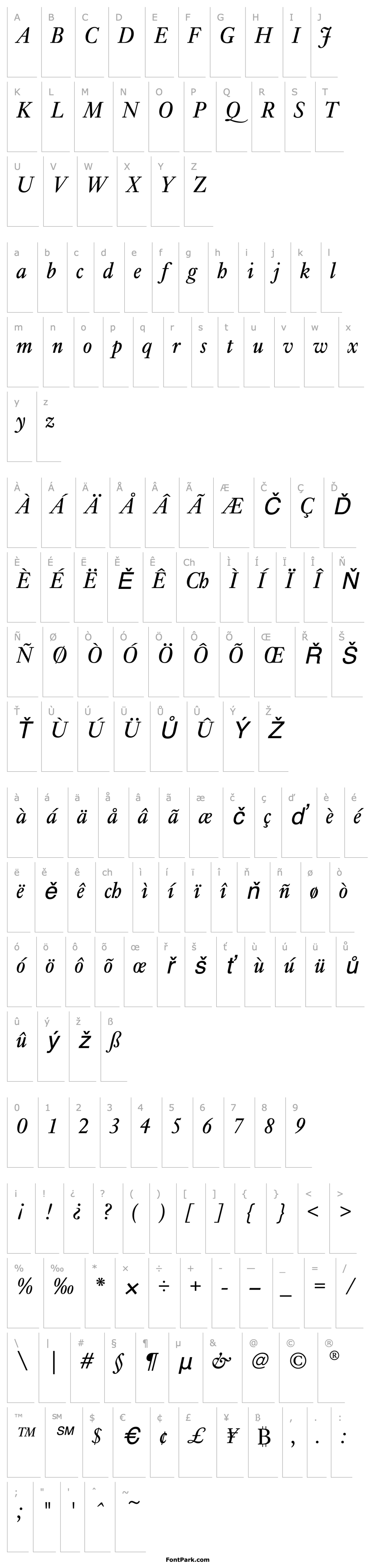 Přehled NikisEF-LightItalic