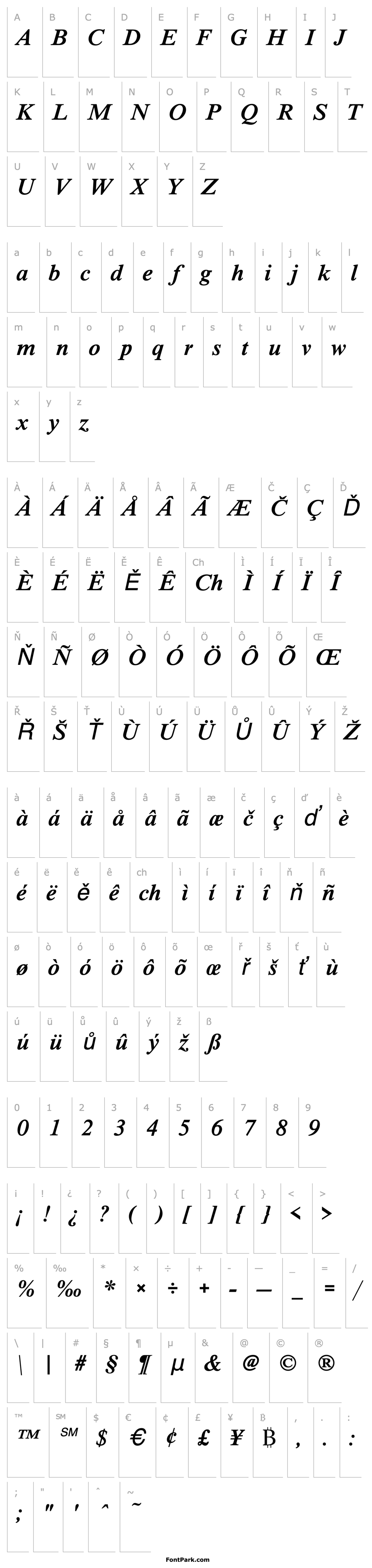 Overview NimbusRomNo9TMed Italic