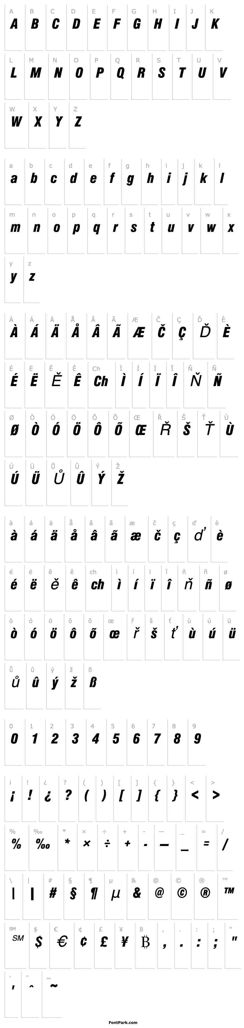 Overview NimbusSanDBlaCon Italic