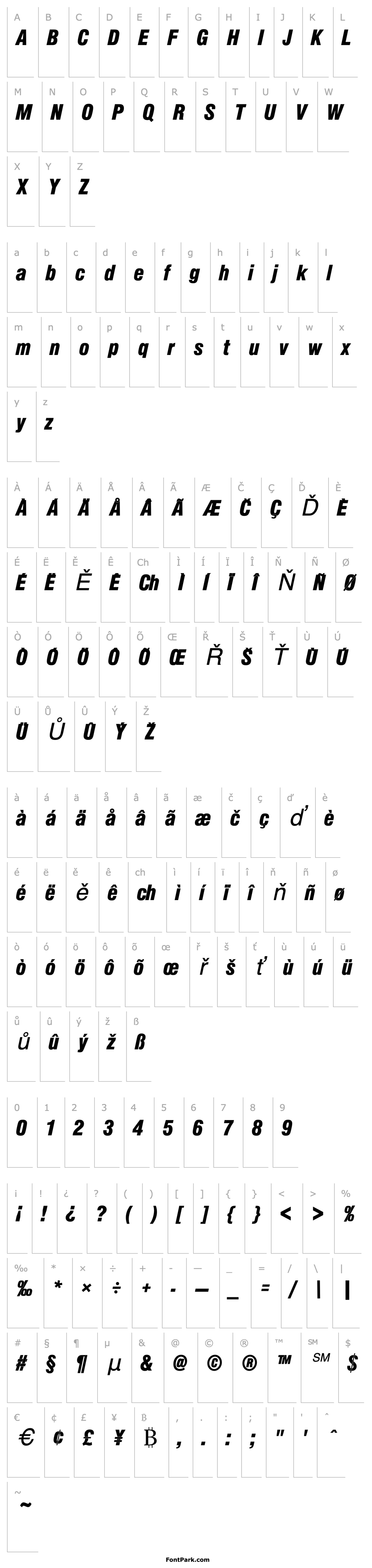 Overview NimbusSanPBlaCon Italic