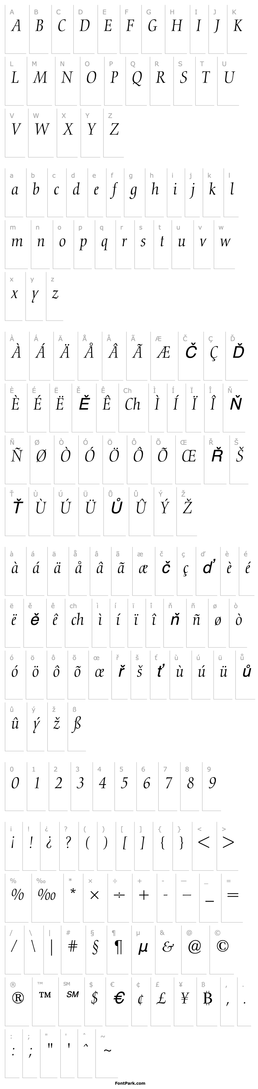 Overview Nofret Light Italic