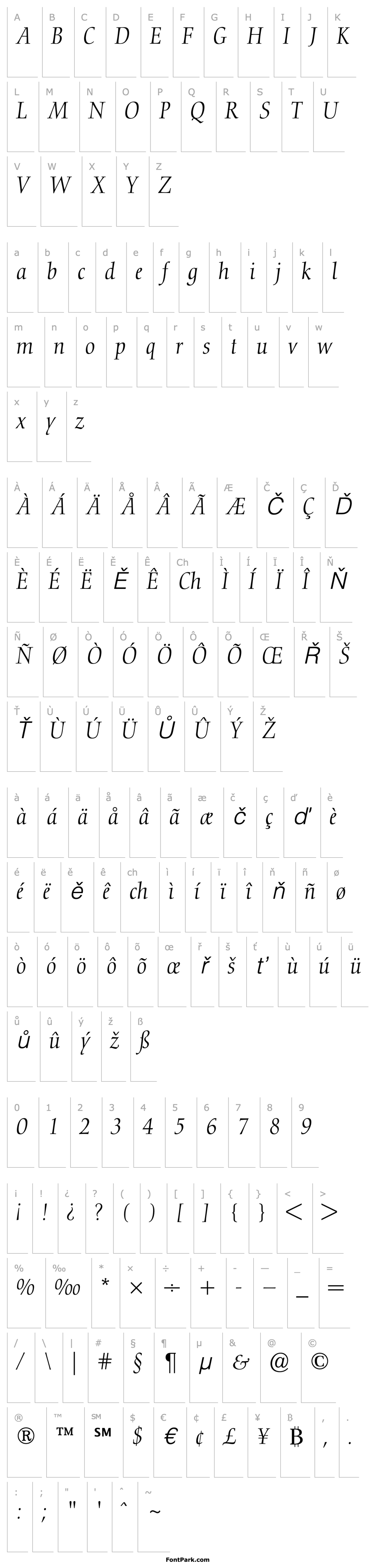 Přehled Nofret-LightItalic