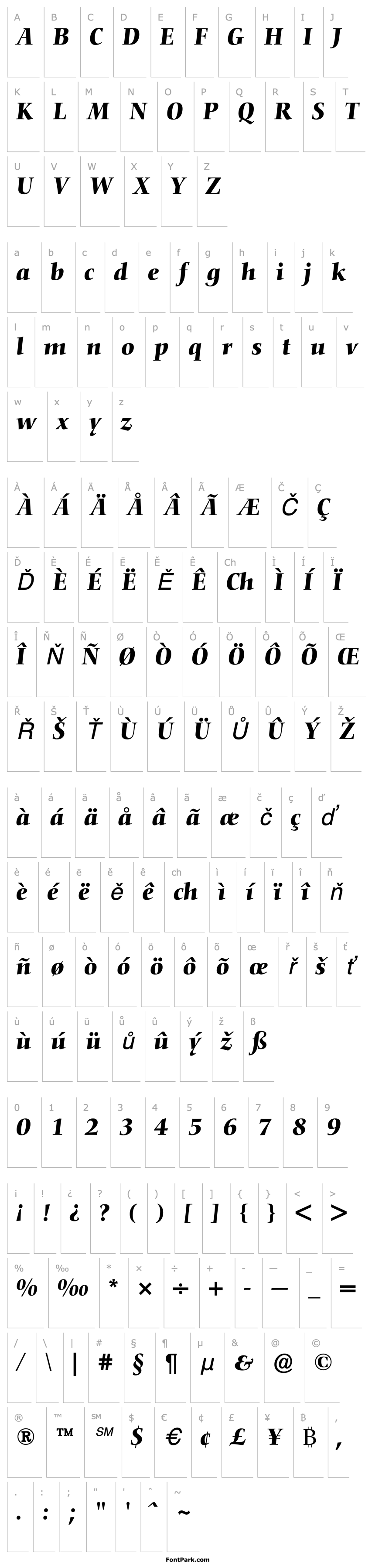 Přehled Nofret-MediumItalic