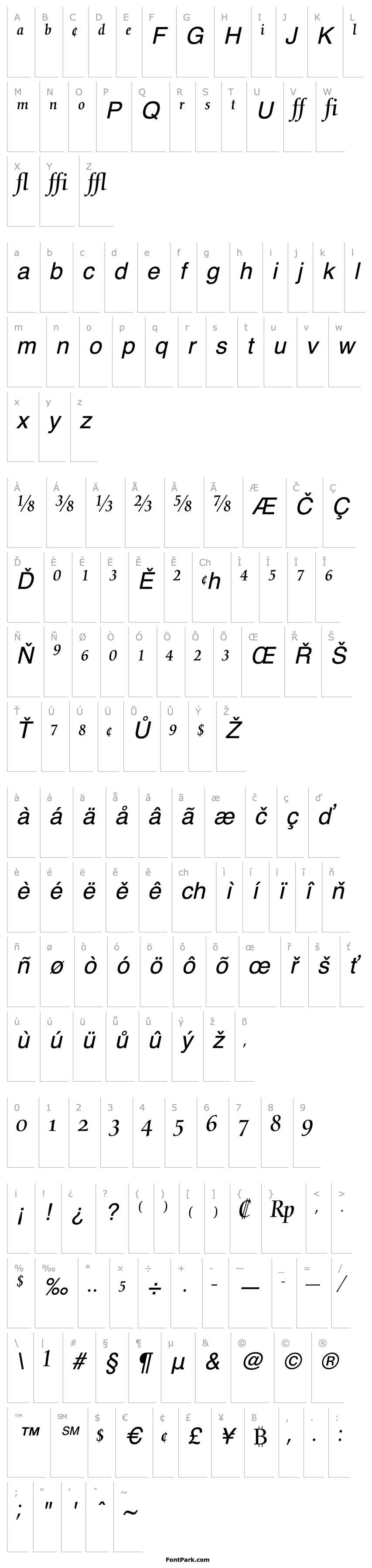 Přehled NofretExpert-Italic