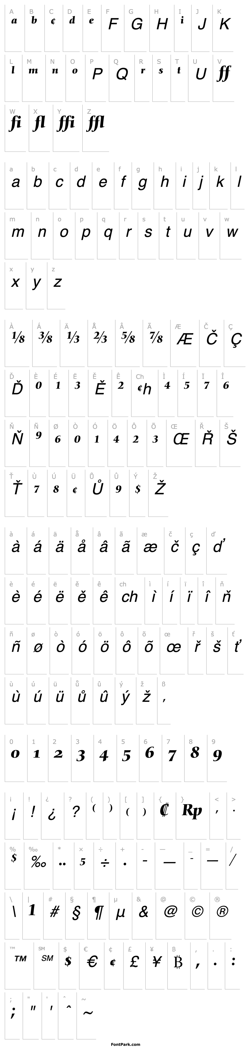 Overview NofretExpert-Medium Italic