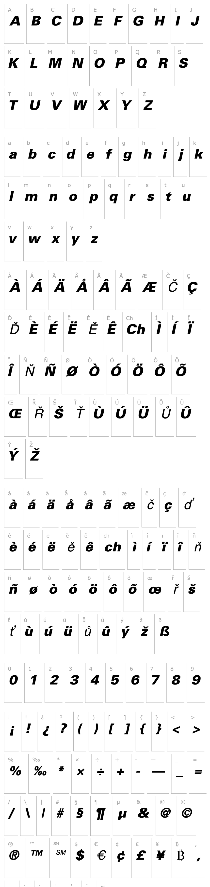 Přehled NovaBlackSSK Italic