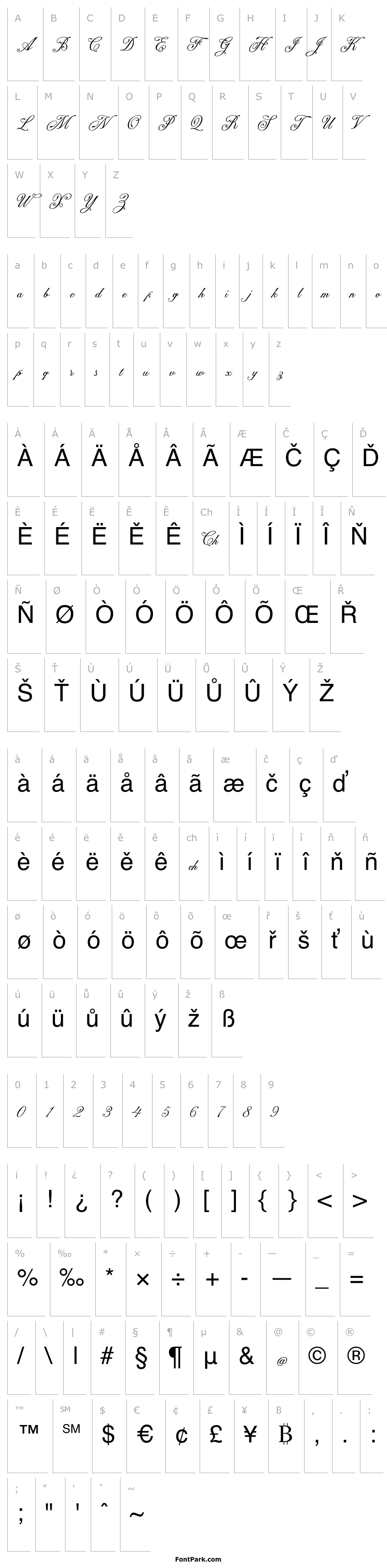 Přehled NS Champtone Script