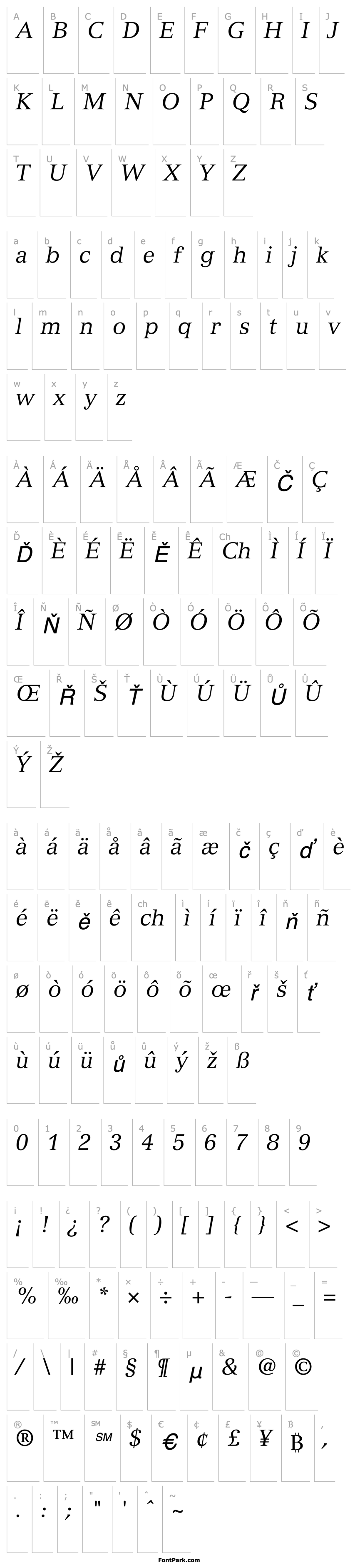 Overview Nuance SSi Italic