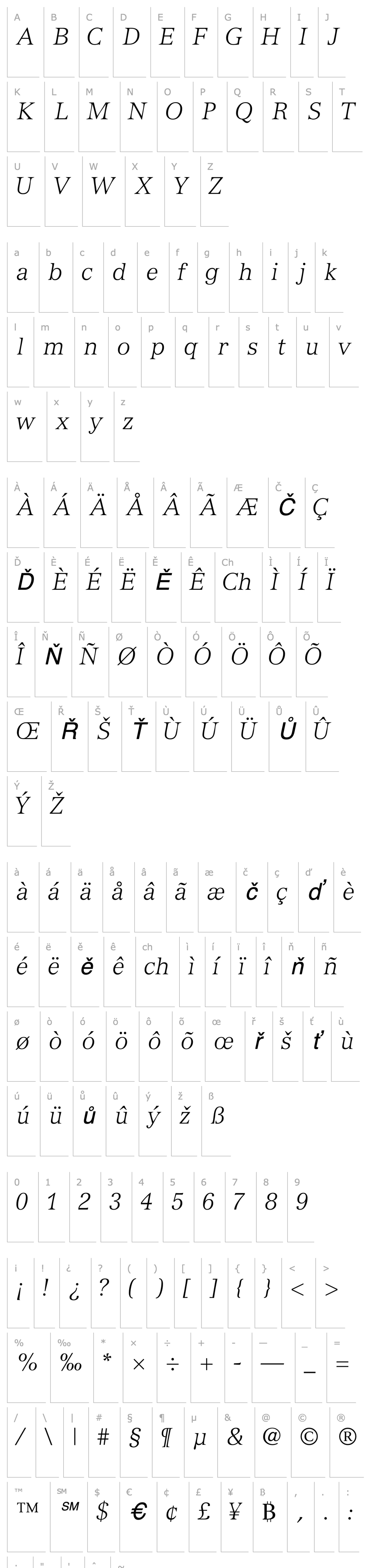 Overview NuanceLightSSK Italic