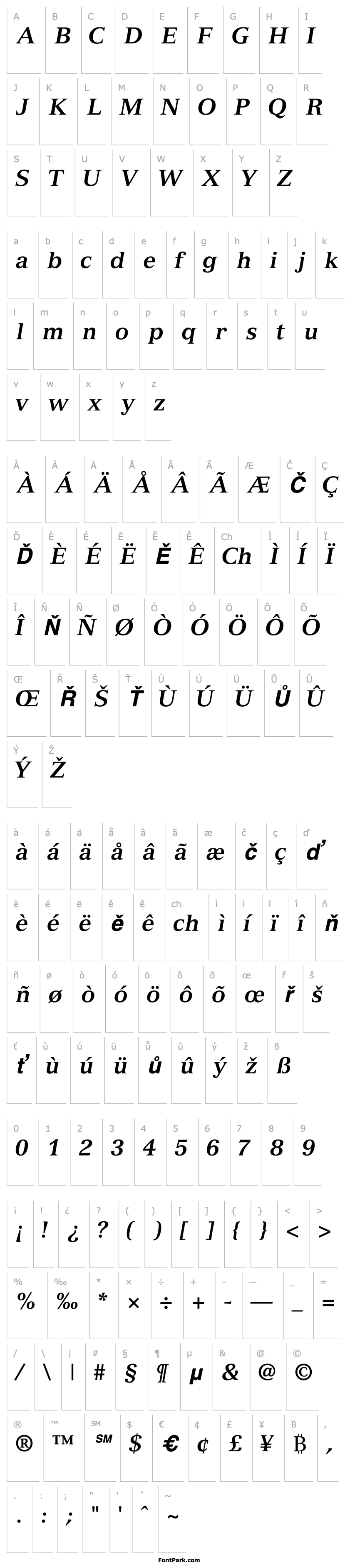 Overview NuanceSSK Bold Italic